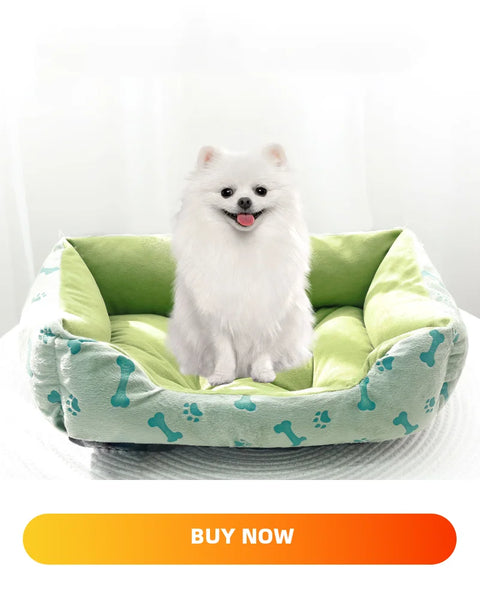 Puppy Dog Car Seat Travel Central Control