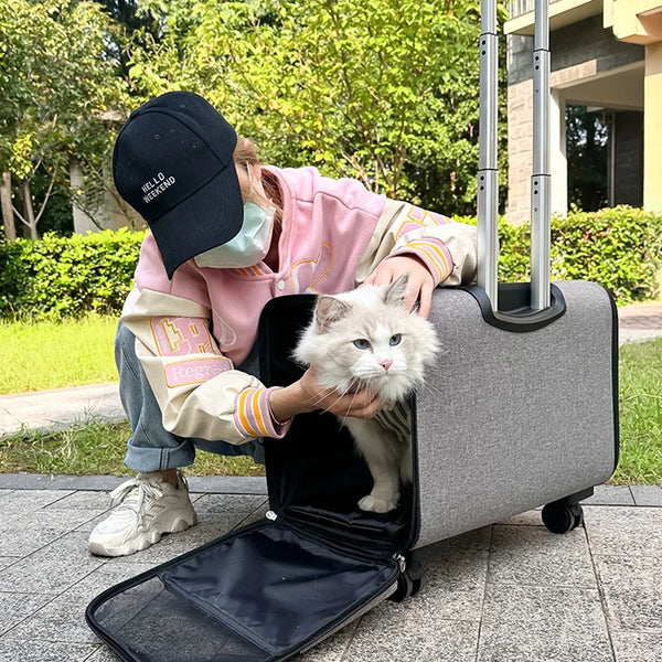 Large Pet Dog Trolley Load 15KG