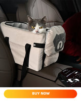 Puppy Dog Car Seat Travel Central Control