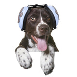 CalmPaws Noise Shield™